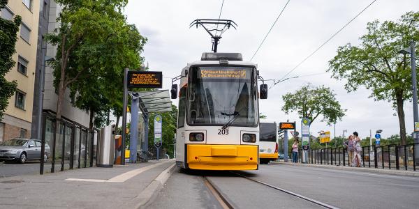 Tram auf Strecke